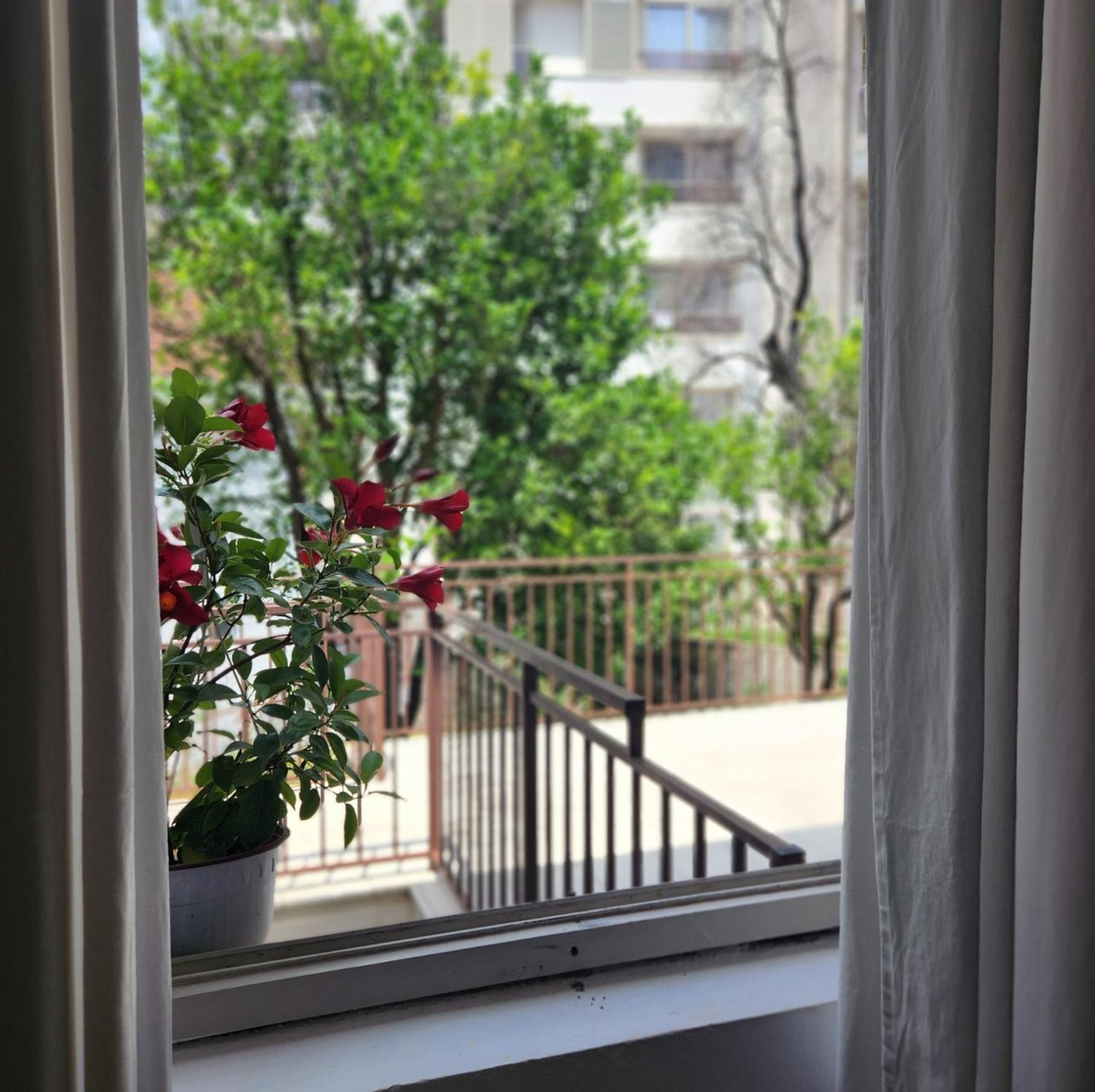 Bela Kuca Studio Apartments-Na Korak Do Mora-A Step To The Sea 拉法洛维奇 外观 照片